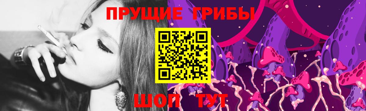 Галлюциногенные грибы Psilocybe Белогорск
